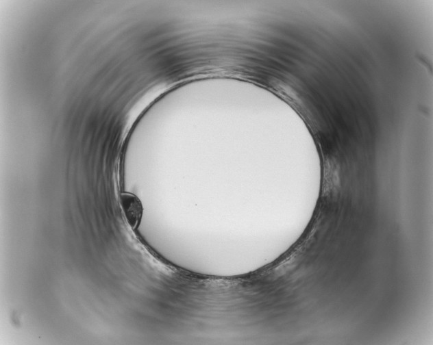 X0000101680812200807311518