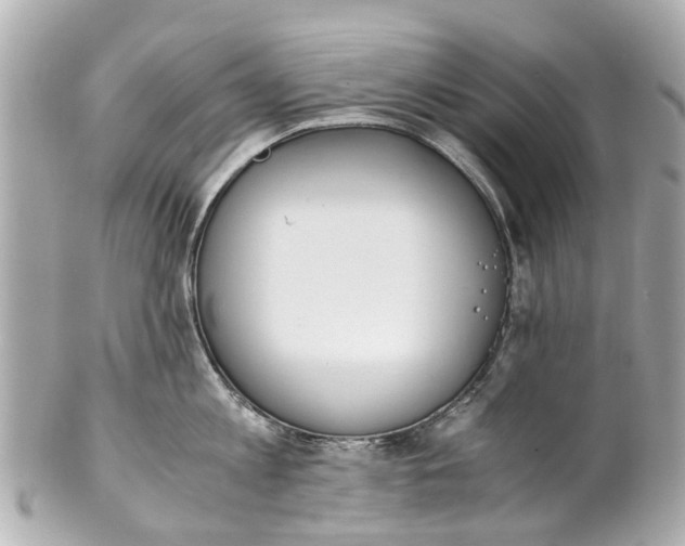 X0000101680813200807311518