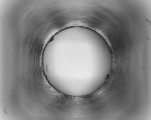 X0000101680815200807311518