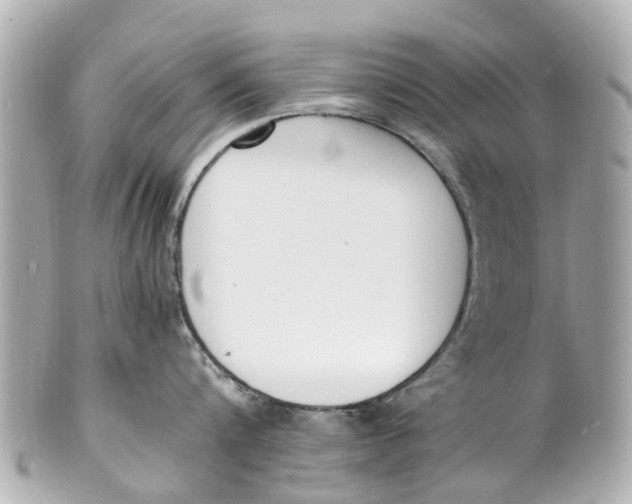 X0000101680816200807311518