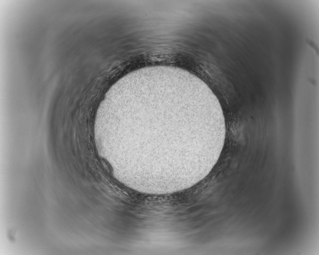 X0000101680817200807311517