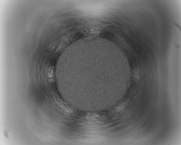 X0000101680818200807311517