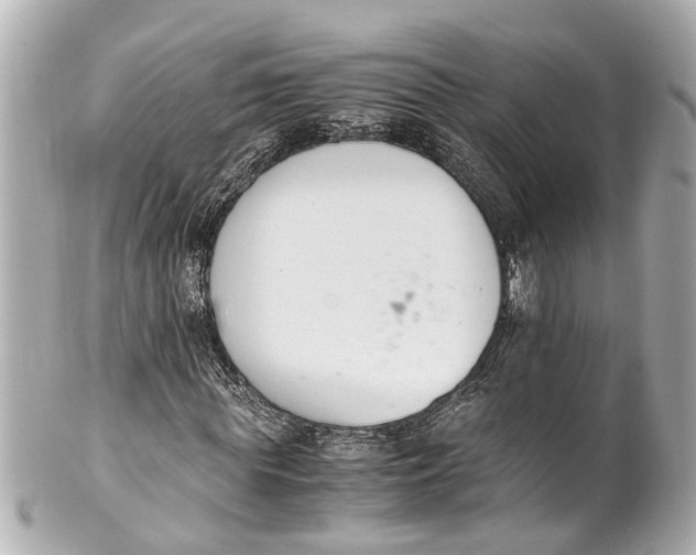 X0000101680819200807311517