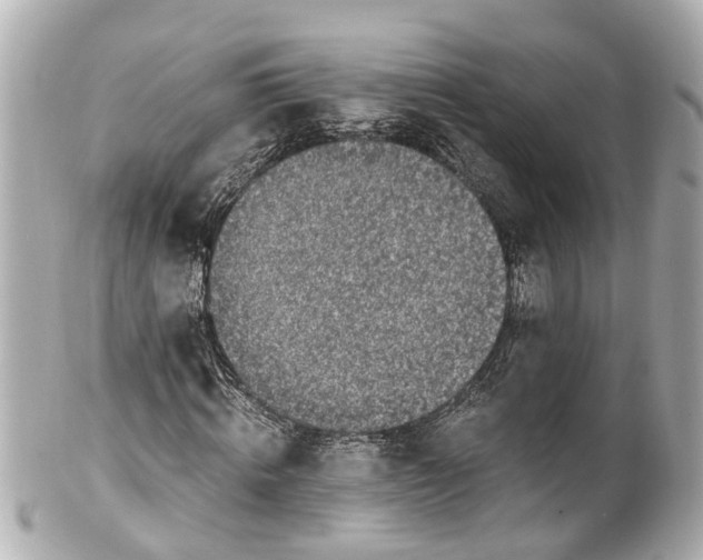 X0000101680820200807311517