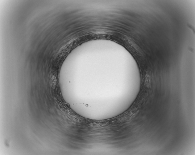 X0000101680821200807311517