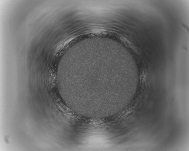 X0000101680822200807311517