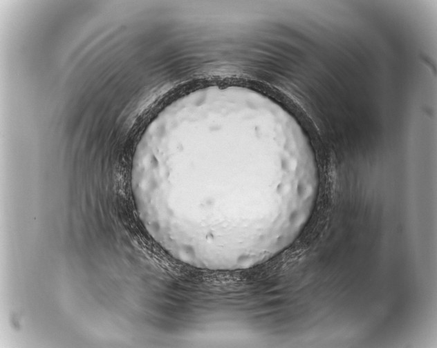 X0000101680823200807311517