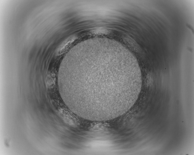 X0000101680824200807311517