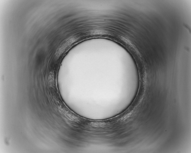 X0000101680825200807311517