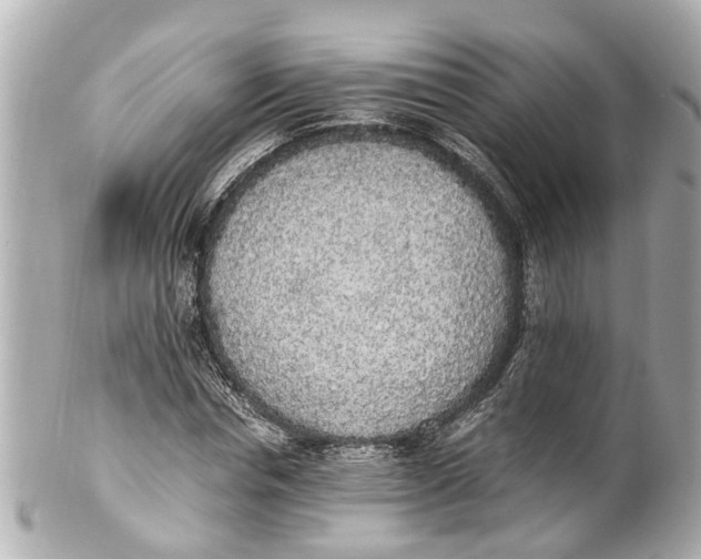 X0000101680826200807311517