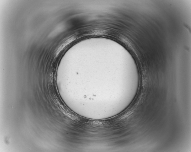 X0000101680827200807311517