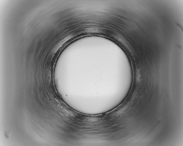 X0000101680829200807311517