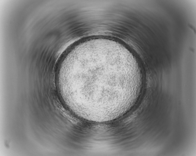 X0000101680830200807311517