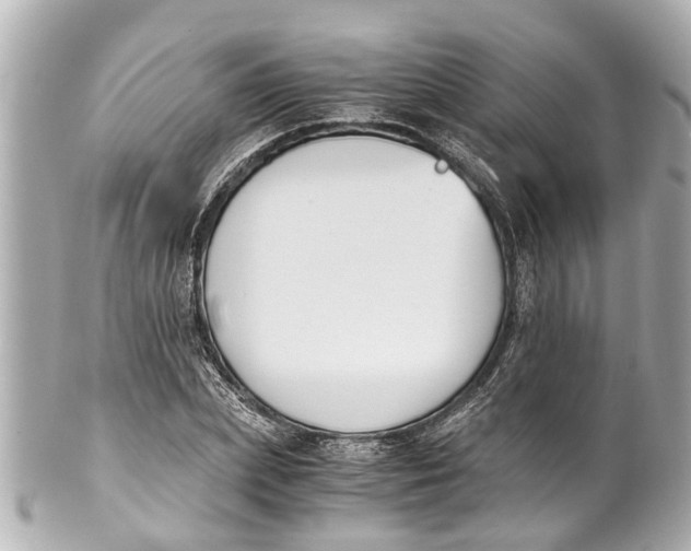 X0000101680831200807311517