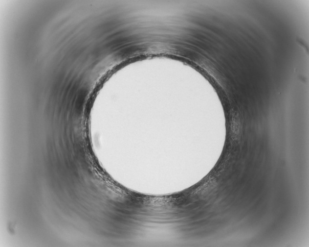 X0000101680832200807311517