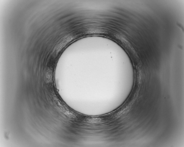 X0000101680833200807311517