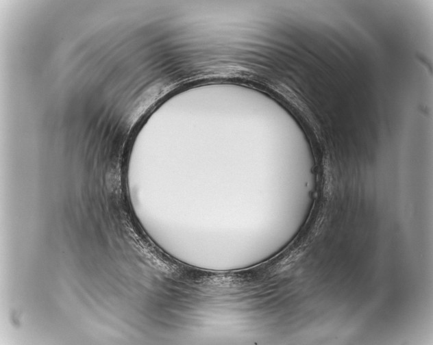 X0000101680834200807311517