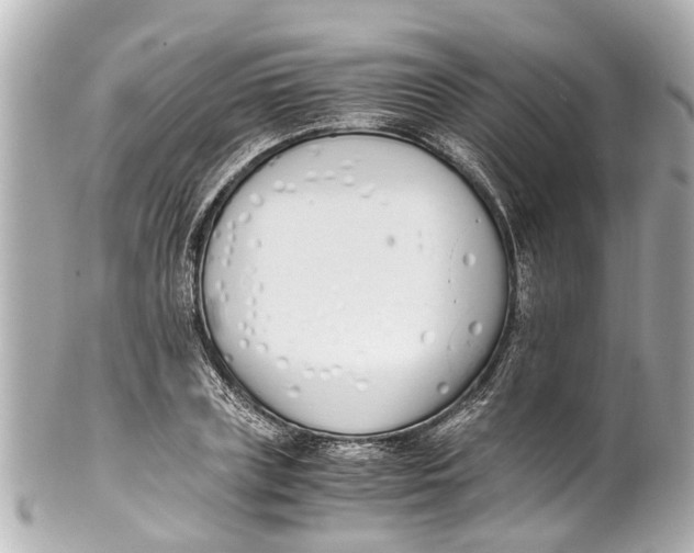 X0000101680835200807311517