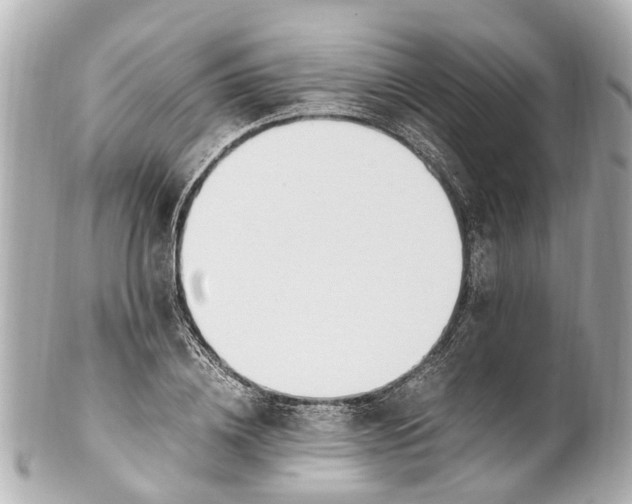 X0000101680836200807311517