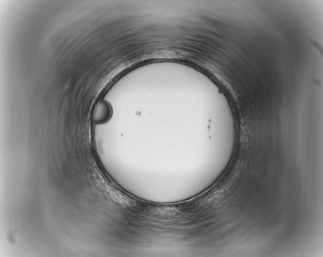 X0000101680837200807311517