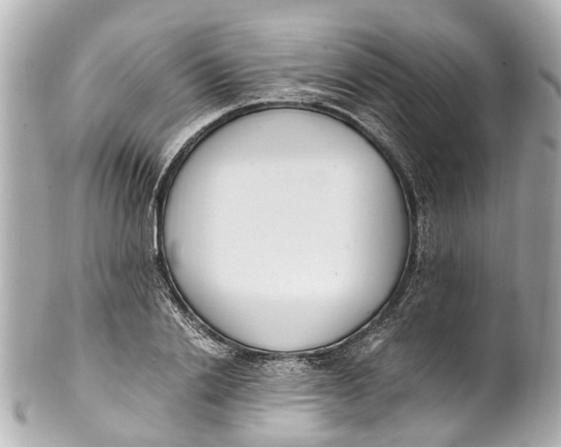 X0000101680838200807311517