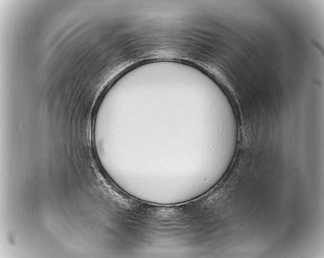 X0000101680839200807311517