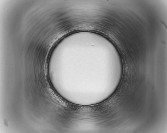 X0000101680840200807311517