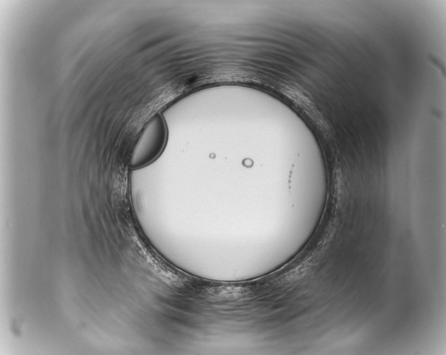 X0000101680841200807311517