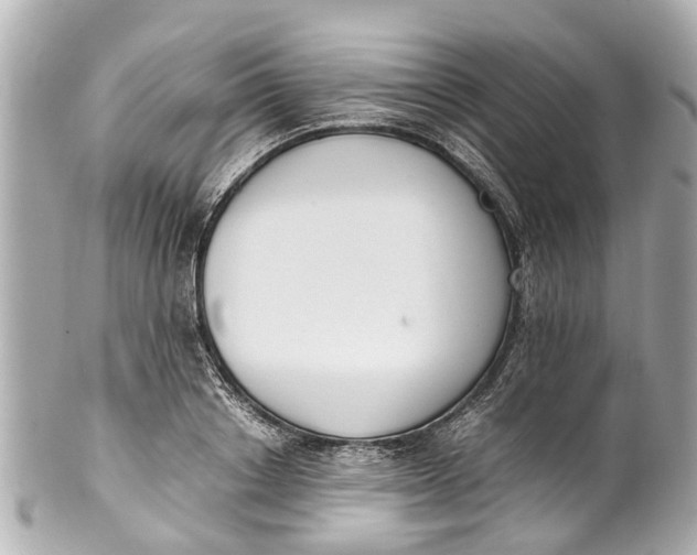 X0000101680842200807311517