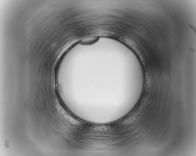 X0000101680843200807311517