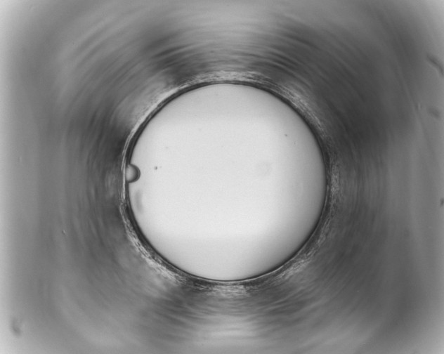 X0000101680844200807311517