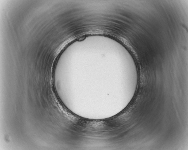 X0000101680845200807311517