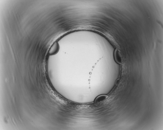 X0000101680846200807311517