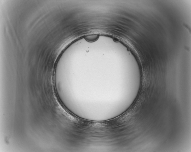 X0000101680847200807311517