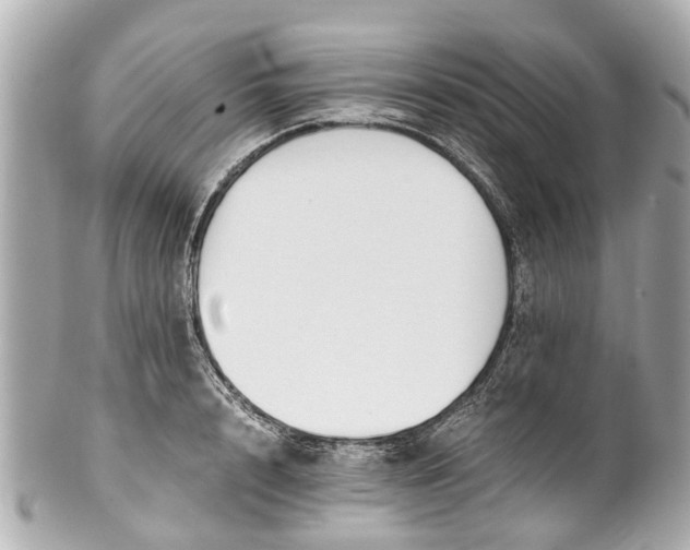 X0000101680848200807311517