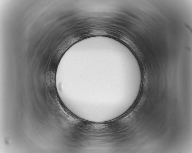 X0000101680849200807311517