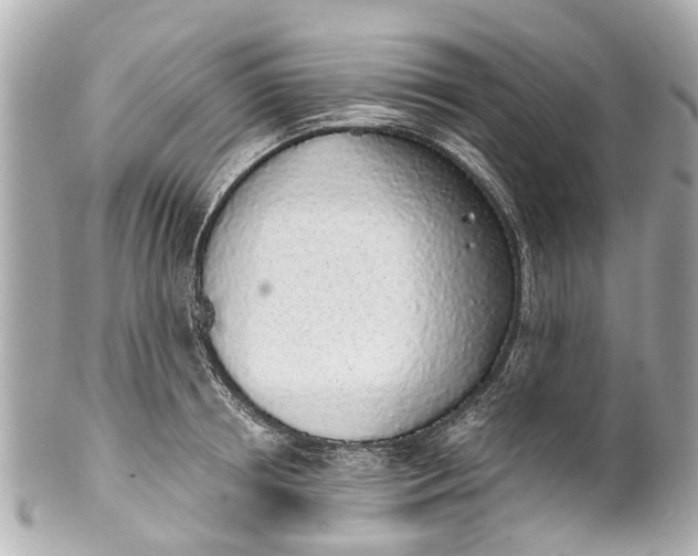 X0000101680850200807311517