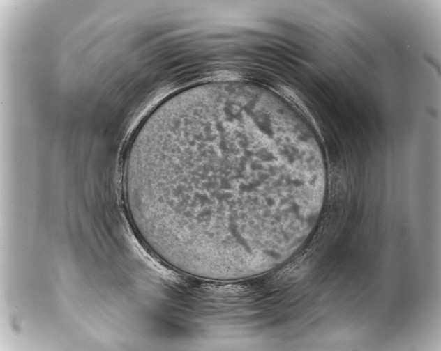 X0000101680851200807311517