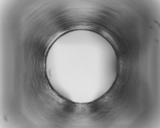 X0000101680852200807311517