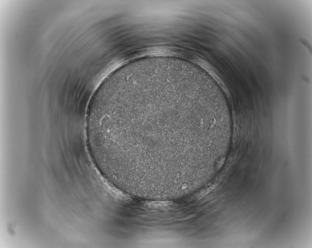 X0000101680853200807311517