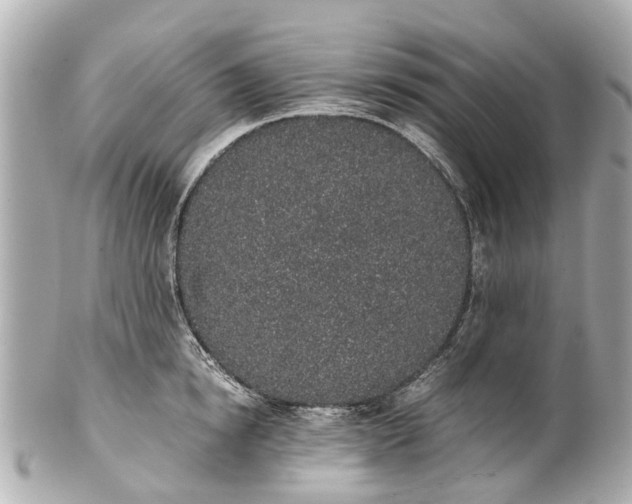 X0000101680854200807311517