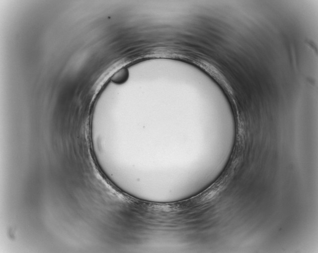 X0000101680855200807311517