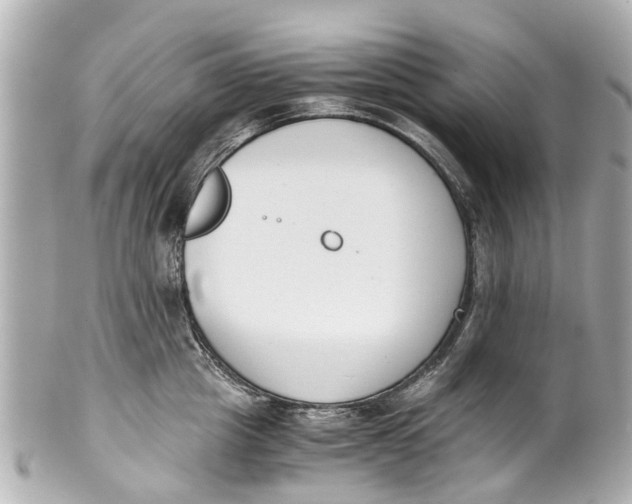 X0000101680857200807311517