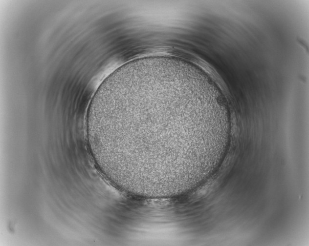 X0000101680858200807311517