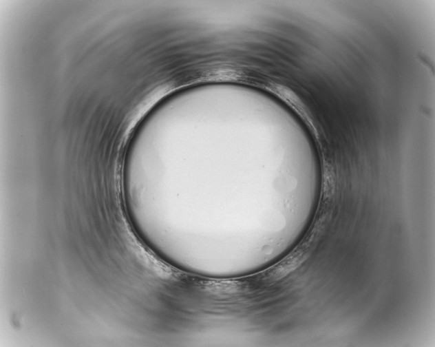 X0000101680859200807311517