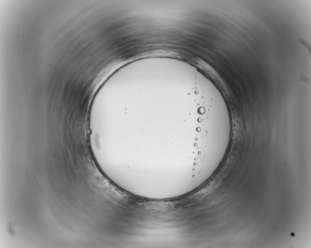 X0000101680860200807311517