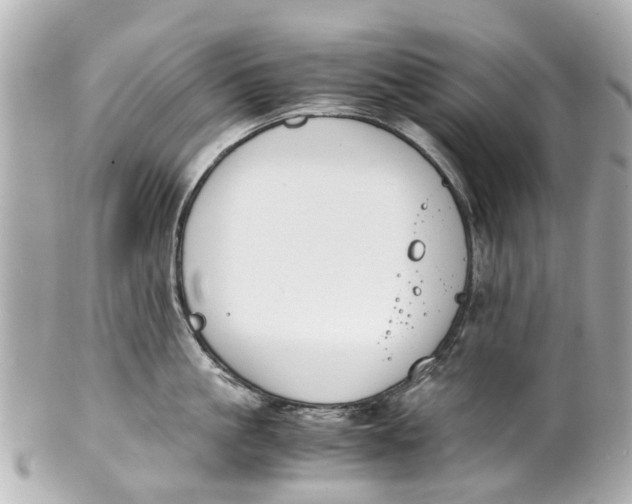 X0000101680861200807311517