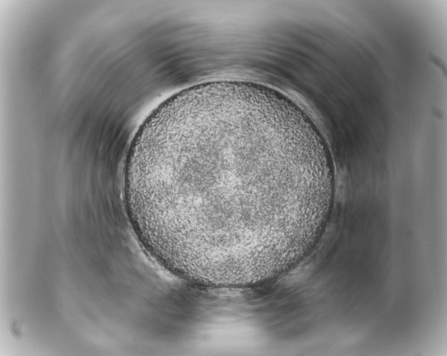 X0000101680862200807311517