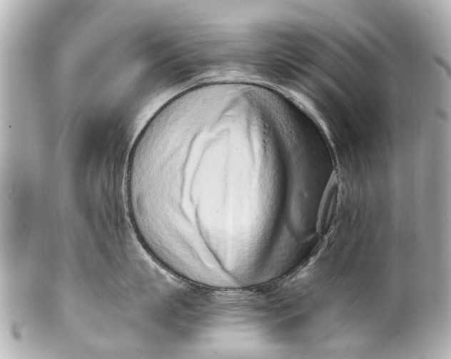 X0000101680863200807311518