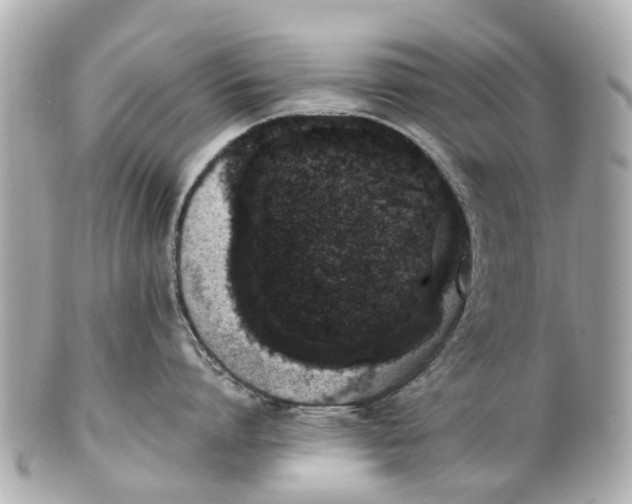 X0000101680864200807311518